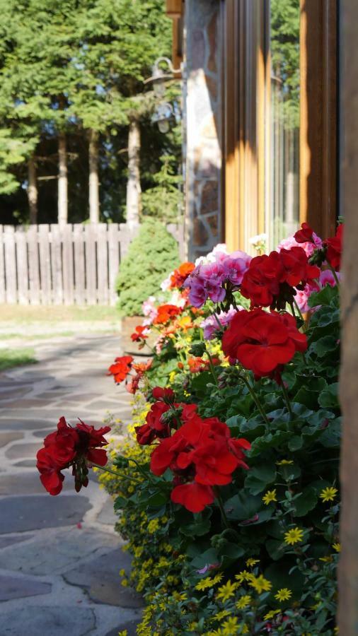 Pension Aspen Гаррахов Экстерьер фото