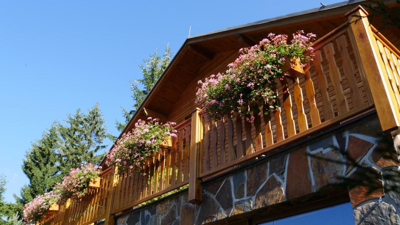 Pension Aspen Гаррахов Экстерьер фото